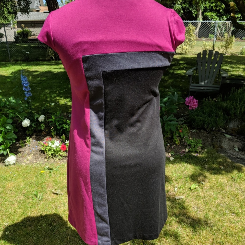 R&K Color Block Dress - Picture 3 of 7
